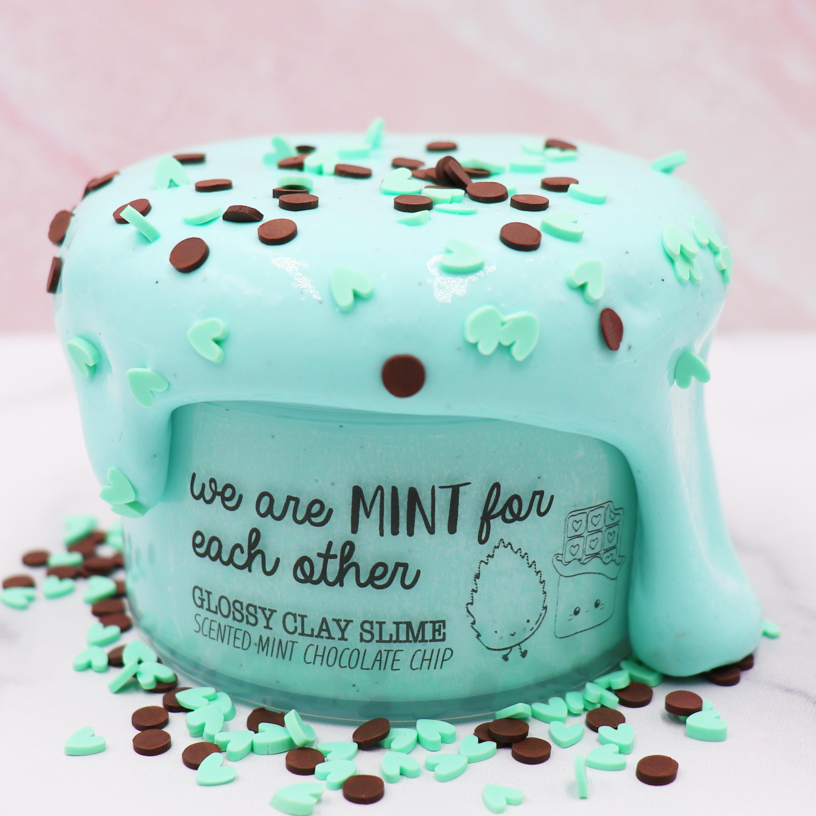 We Are Mint For Each Other Valentines Mint Green Chocolate Chip Thickie Thick Glossy Sprinkles Clay Slime Fantasies Shop 7oz Front View