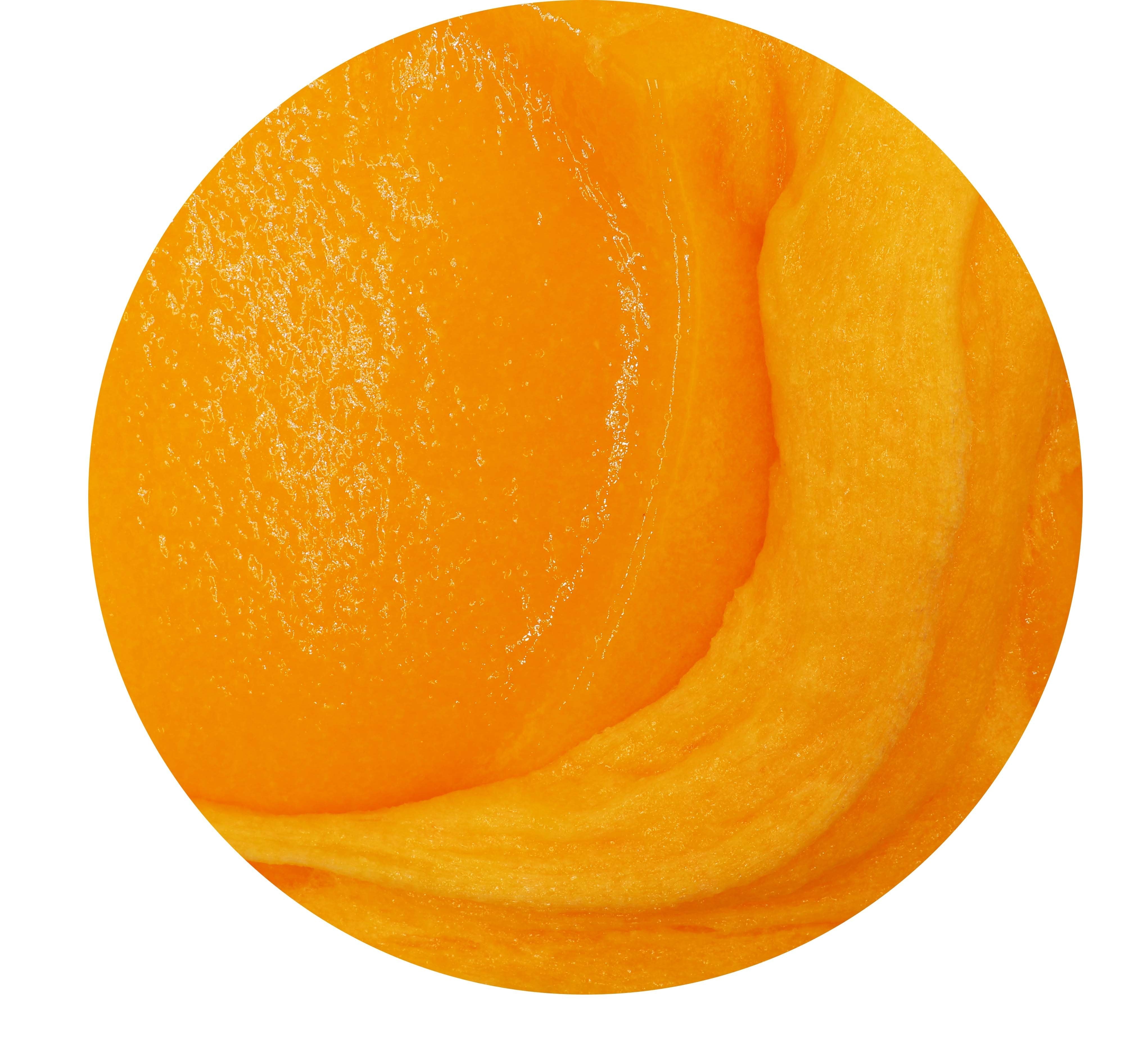 Freshly Squeezed Orange Juice Jelly Slime